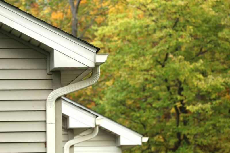 Gutter and Siding Repair