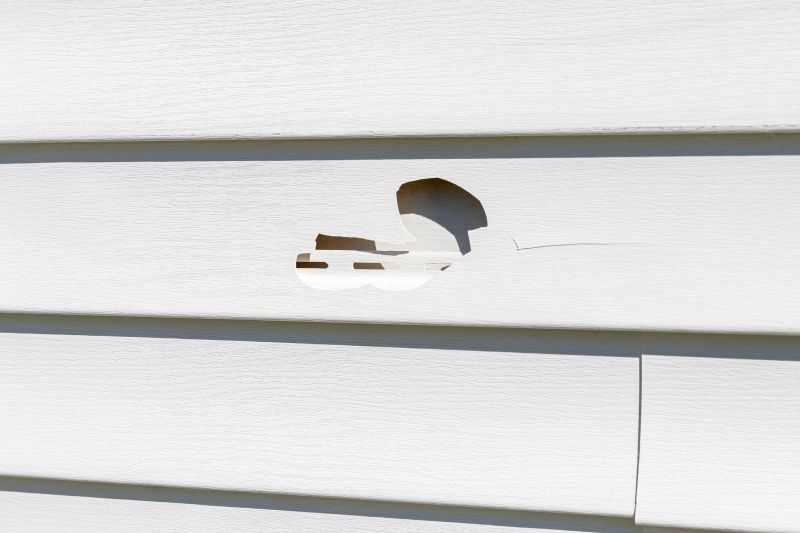 Siding Cracks and Holes